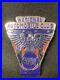 National_Automobile_Club_Car_Badge_USA_States_classic_V8_rare_Safety_First_Eagle_01_lyu